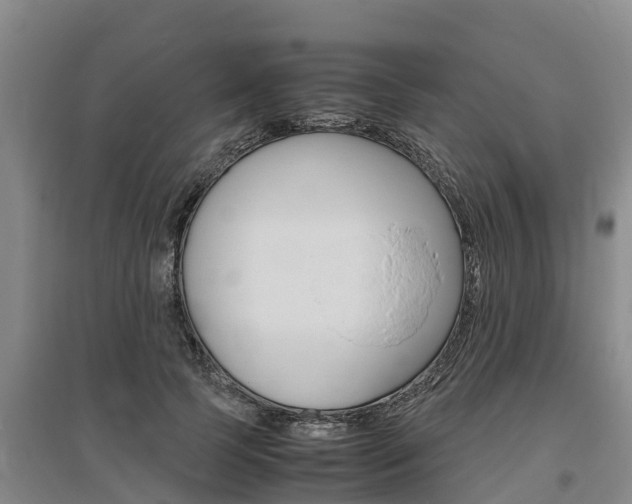 X0000095890745200801110828