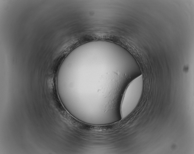 X0000095890746200801110828