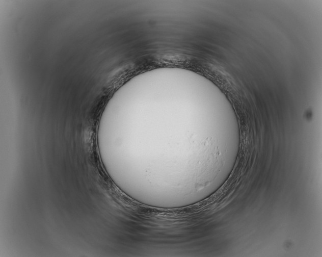 X0000095890749200801110828