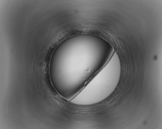 X0000095890750200801110828