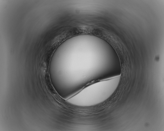 X0000095890752200801110828