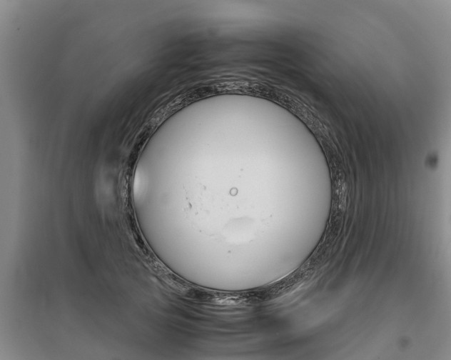 X0000095890753200801110828