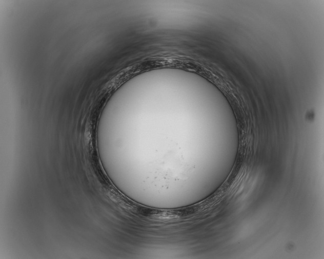 X0000095890754200801110828