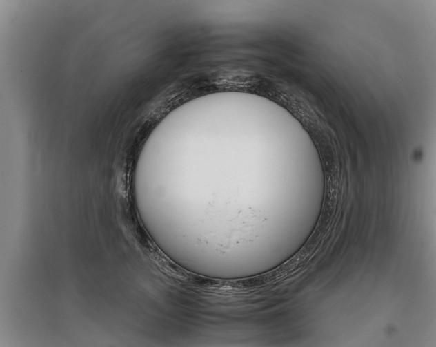X0000095890755200801110828