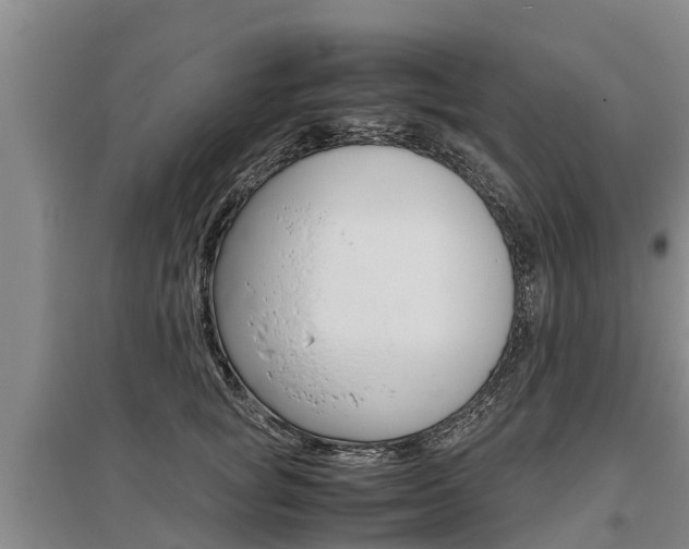 X0000095890757200801110828