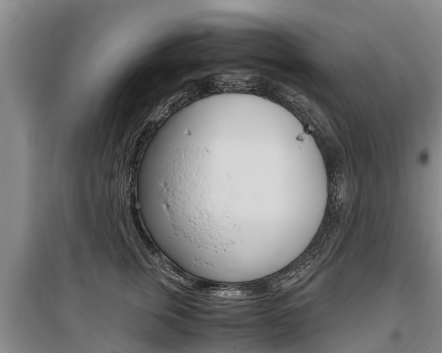X0000095890759200801110828