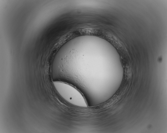 X0000095890760200801110828