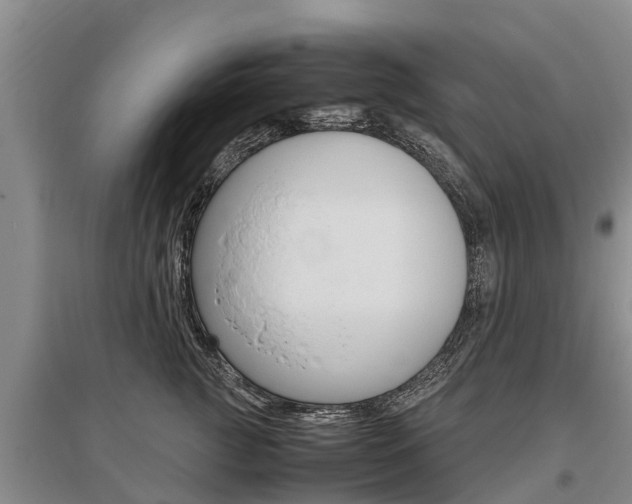 X0000095890761200801110828