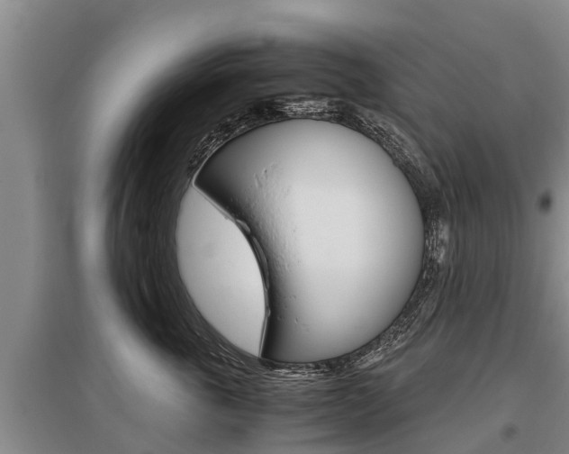 X0000095890763200801110828