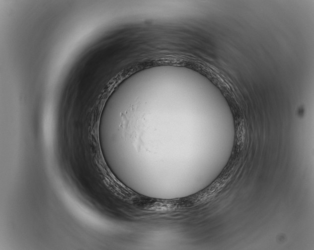 X0000095890764200801110828