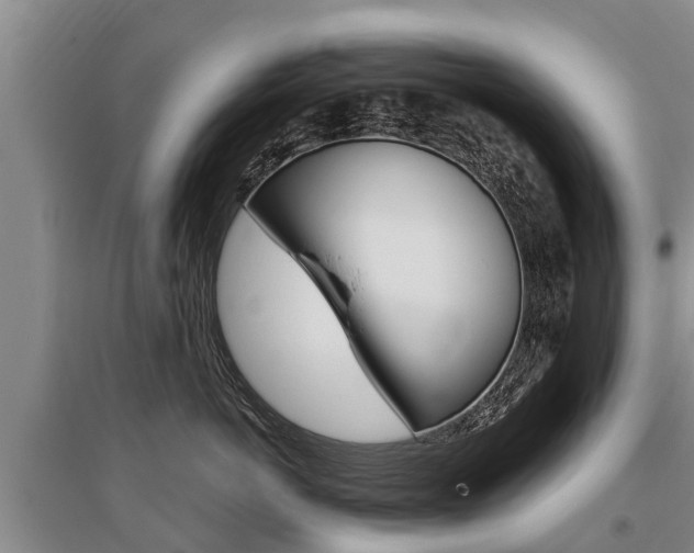X0000095890766200801110828