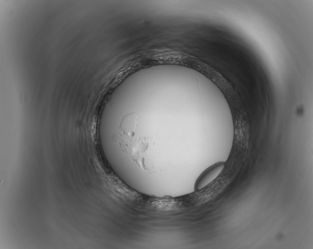 X0000095890767200801110828