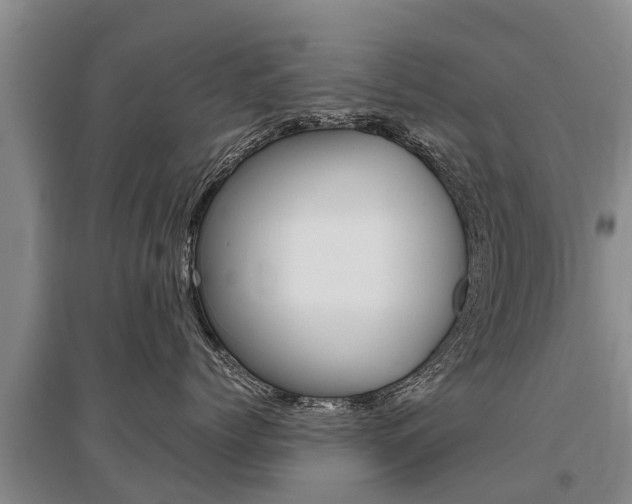 X0000095890768200801110828