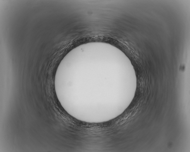 X0000095890769200801110828