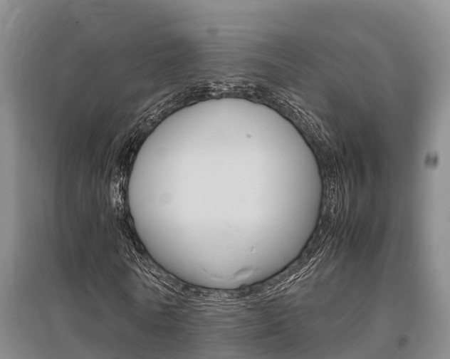 X0000095890770200801110828