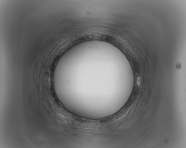 X0000095890771200801110828