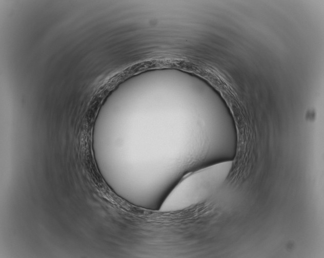 X0000095890773200801110828