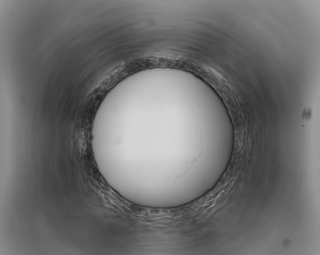 X0000095890774200801110828