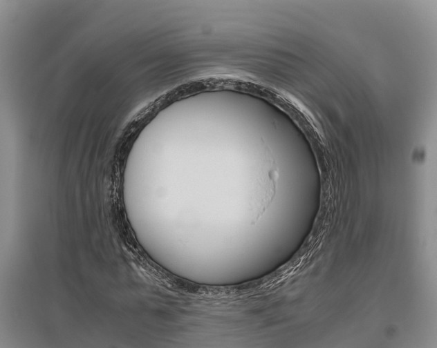 X0000095890775200801110828