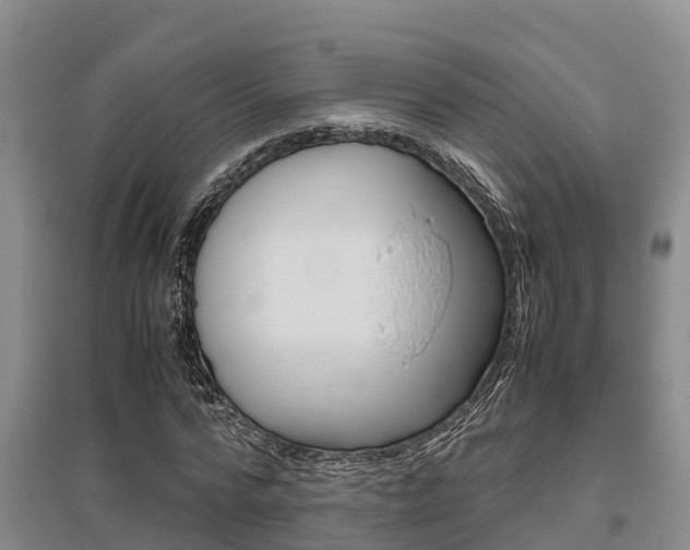 X0000095890776200801110828