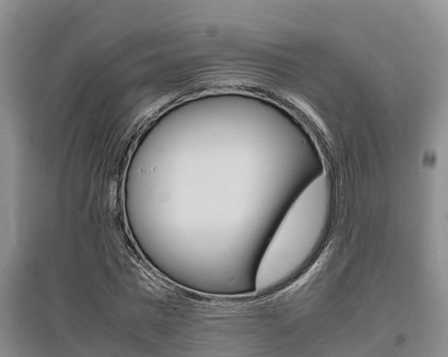 X0000095890777200801110828