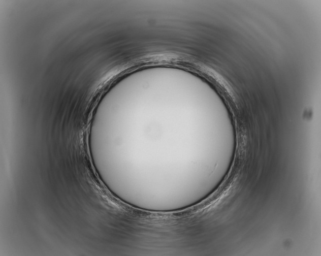 X0000095890778200801110828