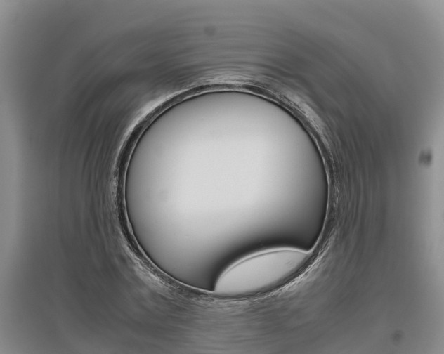 X0000095890779200801110828