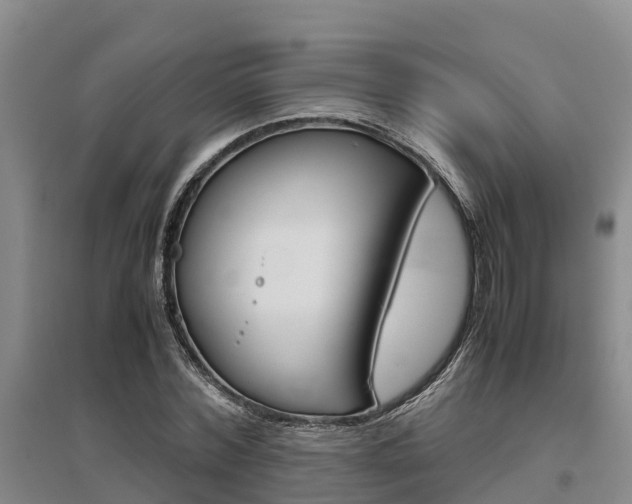 X0000095890780200801110828