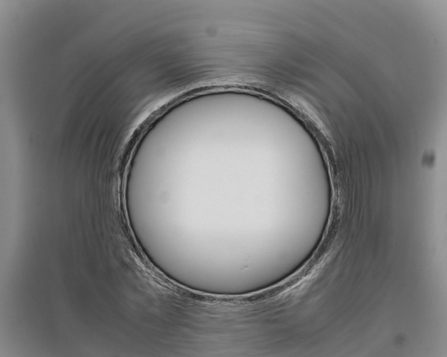 X0000095890781200801110828