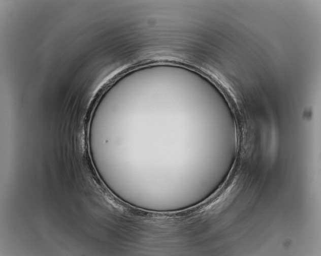 X0000095890782200801110828