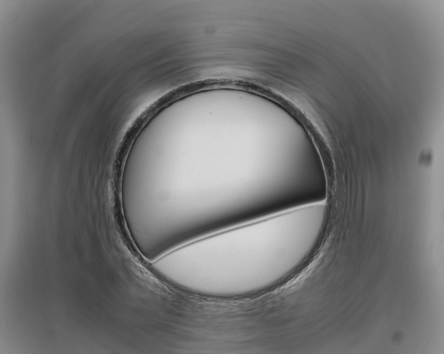 X0000095890783200801110828