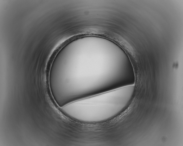 X0000095890784200801110828