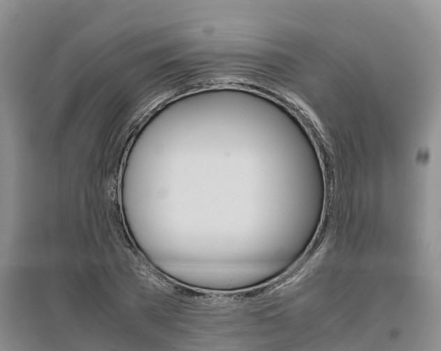 X0000095890785200801110827