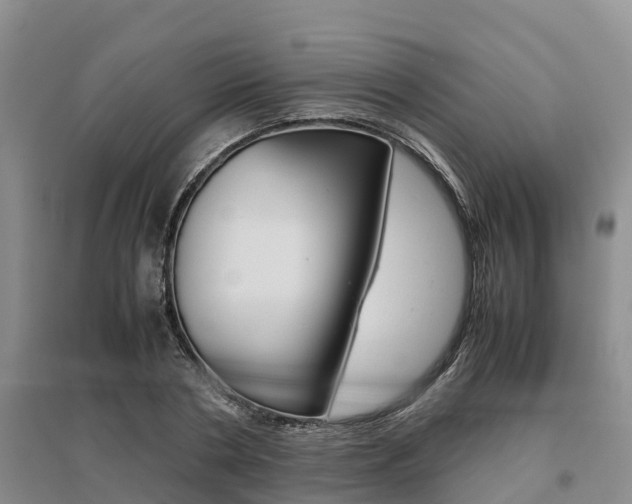 X0000095890786200801110827