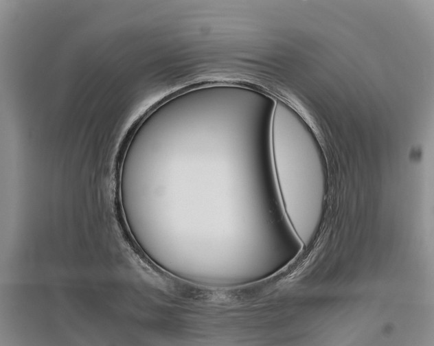X0000095890787200801110827