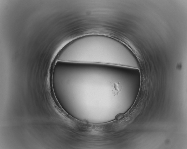 X0000095890788200801110827