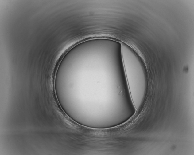 X0000095890789200801110827