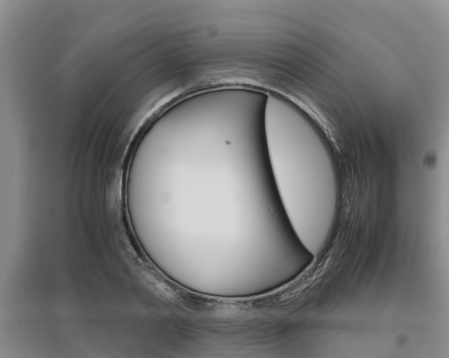 X0000095890790200801110827