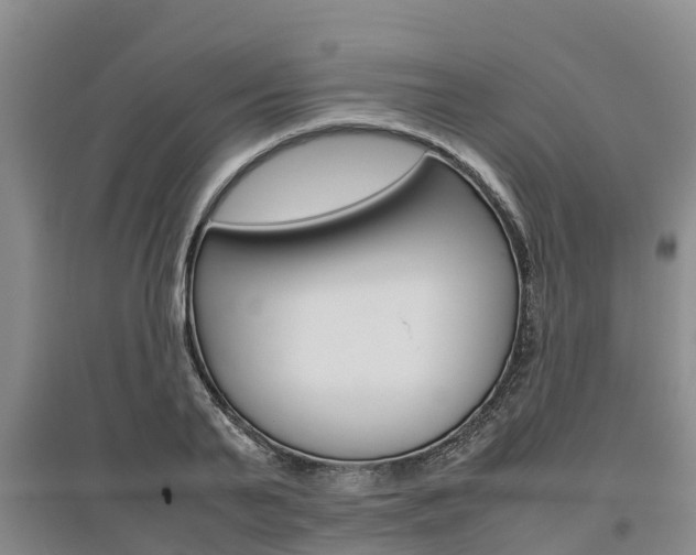 X0000095890791200801110827