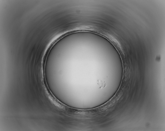 X0000095890792200801110827