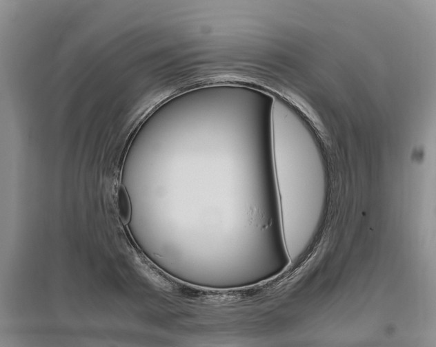 X0000095890793200801110827