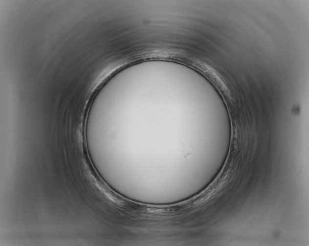 X0000095890794200801110827