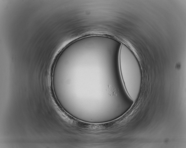 X0000095890795200801110827