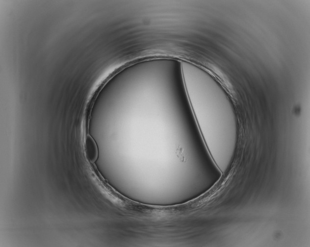 X0000095890796200801110827