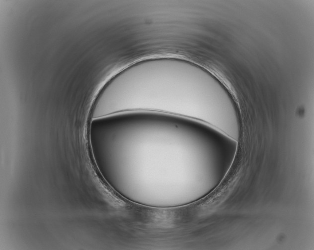 X0000095890797200801110827