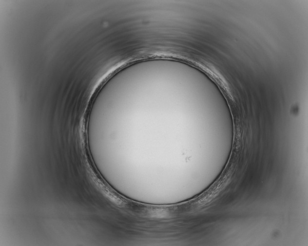 X0000095890798200801110827