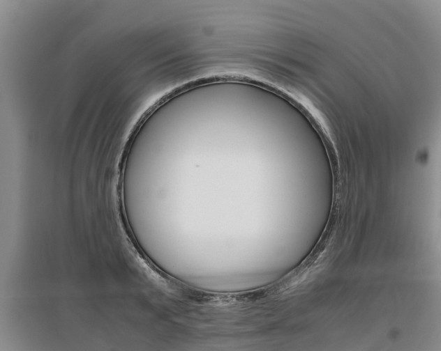 X0000095890799200801110827