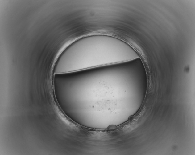 X0000095890800200801110827