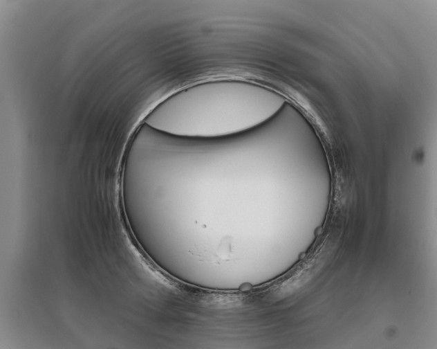 X0000095890802200801110827