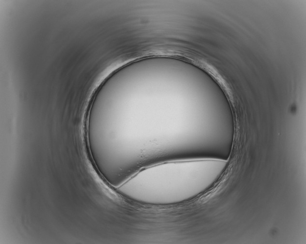 X0000095890803200801110827